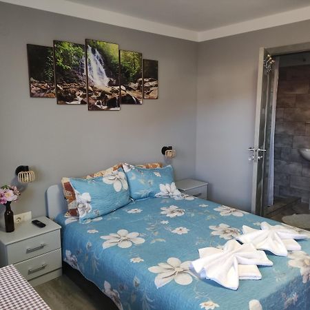 Kovács Guesthouse Praid Exteriér fotografie